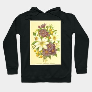 Clematis, Cineraria, Buddlea Hoodie